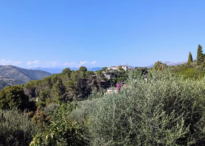 Olive Grove Retreat *